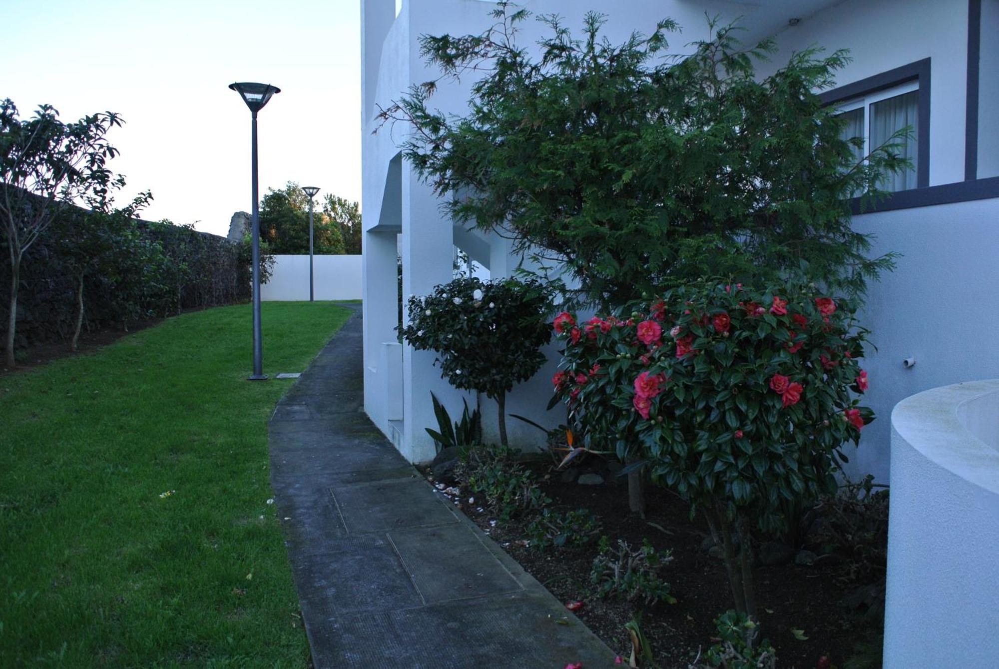 Ponta Delgada Casa Simba , Where The Fun Begins מראה חיצוני תמונה