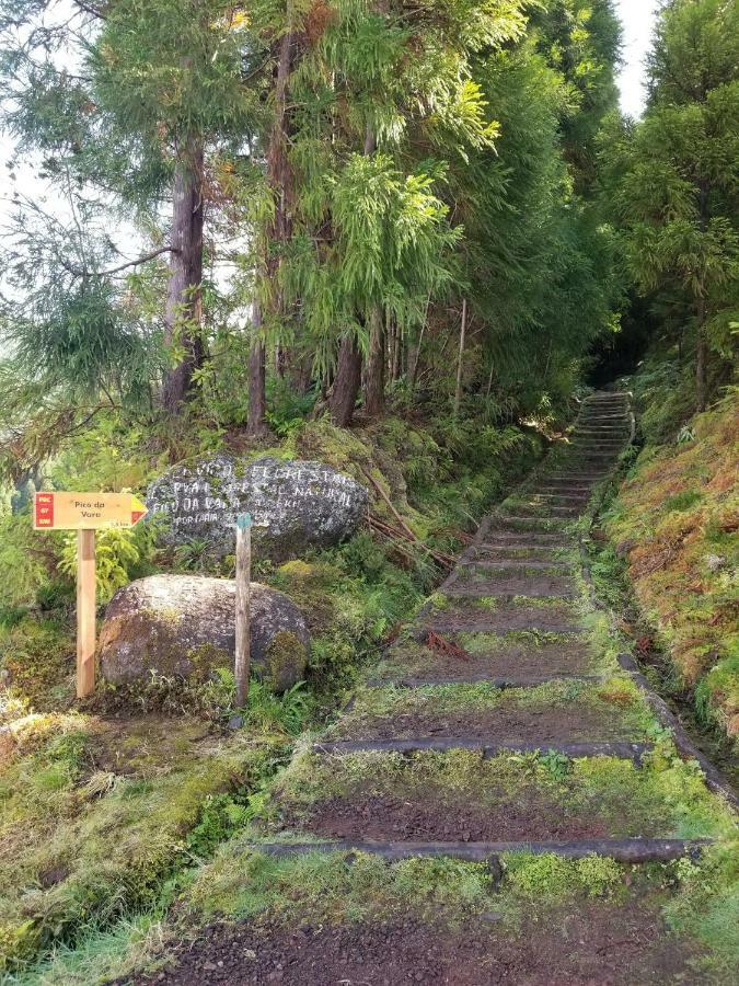 Ponta Delgada Casa Simba , Where The Fun Begins מראה חיצוני תמונה